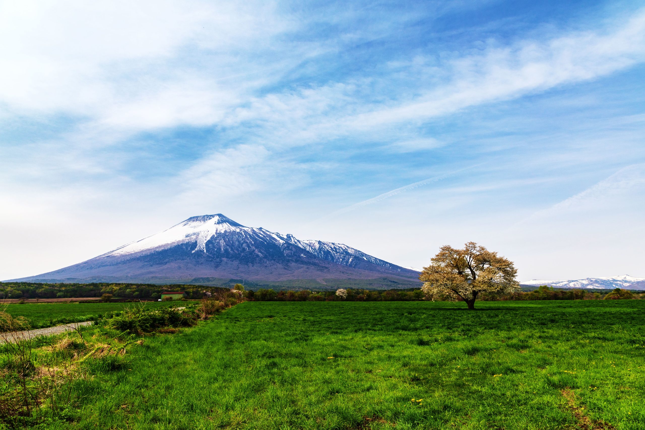 岩手県へのリンク